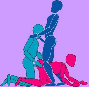 Photo de PASSIFBISEX