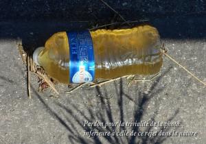 Vend uro  soumis sur Paris 