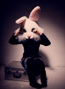 Photo de Chat du dsire 