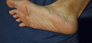 Photo de Le francais cochon