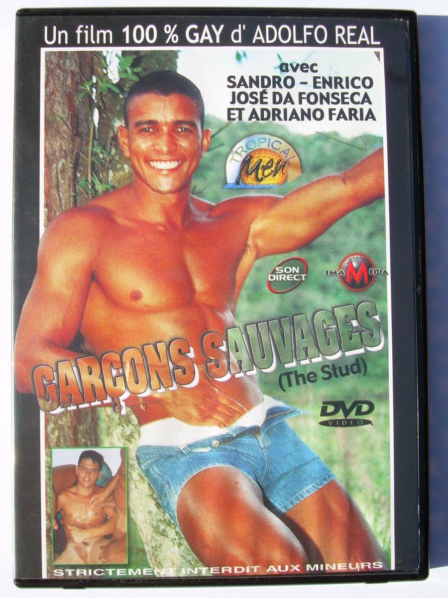 DVD X gay occasion Garçons sauvages Tropical men sur Lorgues photo photo