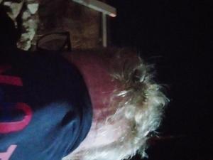 Sympa pour rencontrer femme propre et discrte 