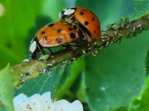 Rencontre coquine pour femme ou couple 