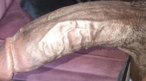 Black 1m80 recherche relation coquine 