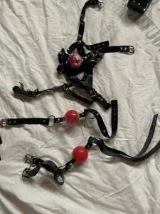 gants latex et baillons