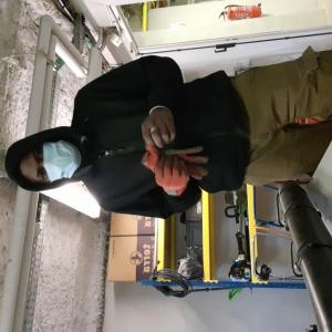 Je propose mes services pour petits travaux 