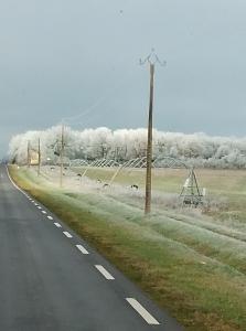 Recherche femme ou couple pour moment coquin 