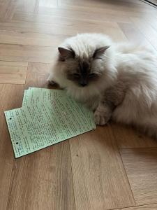 Plan x gay ou avec femme