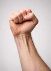 Maitre Fisteur recois en semaine et me d�place