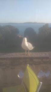 homme cherche femmes mature pour  relation infid�le ou pas 