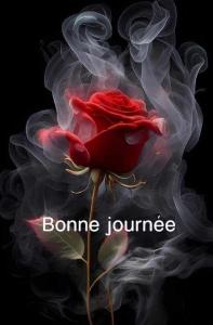 Pour dames seules o� d�laiss�es, en manque de c�lins, pr�s de Lens.