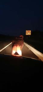 Exhib pour Routier