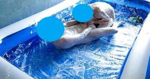 H bi cherche partenaire bi pour plan lutte cul dans la cr�me chantilly  