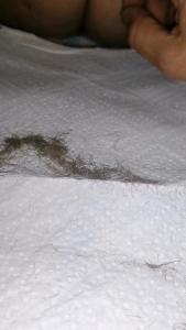 Poils pubiens + vid�o rasage + photos