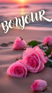 Photo de Bipbipdu47 