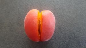 Langue experte en cunni pour JF F qui aime se faire l�cher !