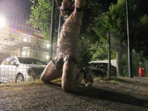 Photo de analpluggedpig