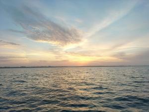 Sortie bateau