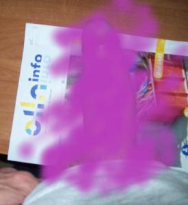 Photo de Did