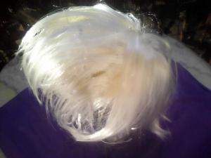 Photo de Papillon99