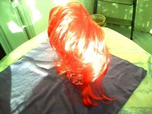 Photo de Papillon99