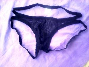 Photo de Papillon99