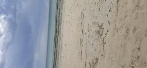 Je recherche un plans cul pour ma premi�re fois 
