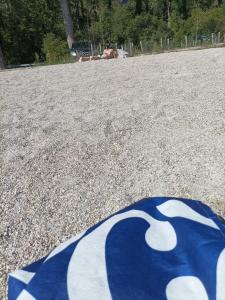 Thierry 57 ans pour femme qui ose